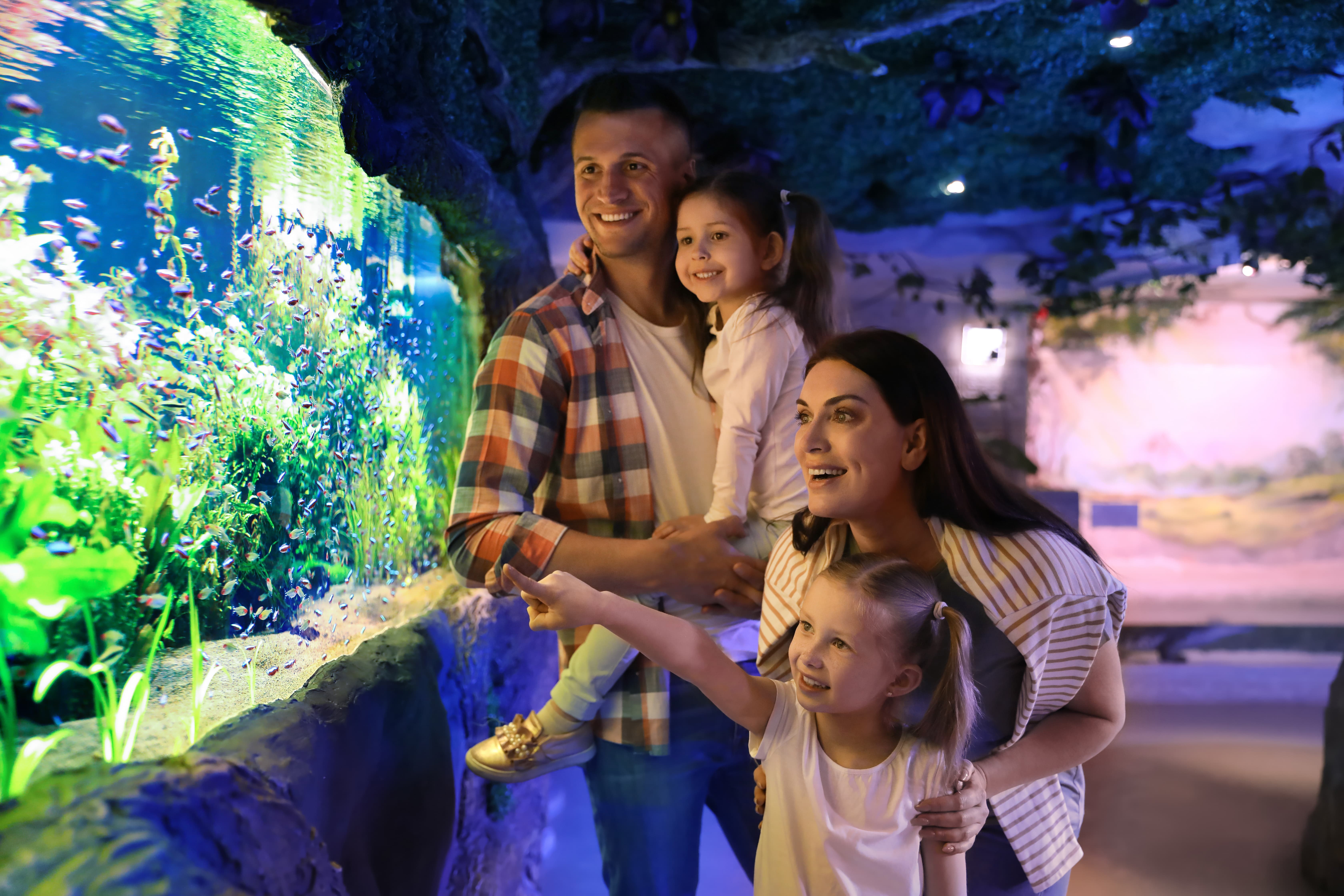 family in a museum enjoying time together and excited about their cash back savings